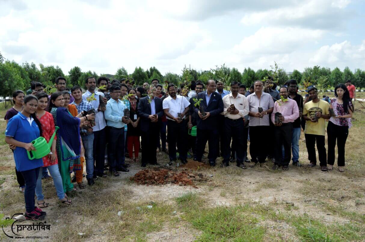 Planted Sapling of Trees in Campus