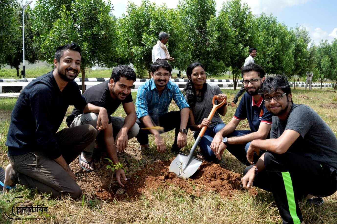Tree Plantation by Students in Campus Premises